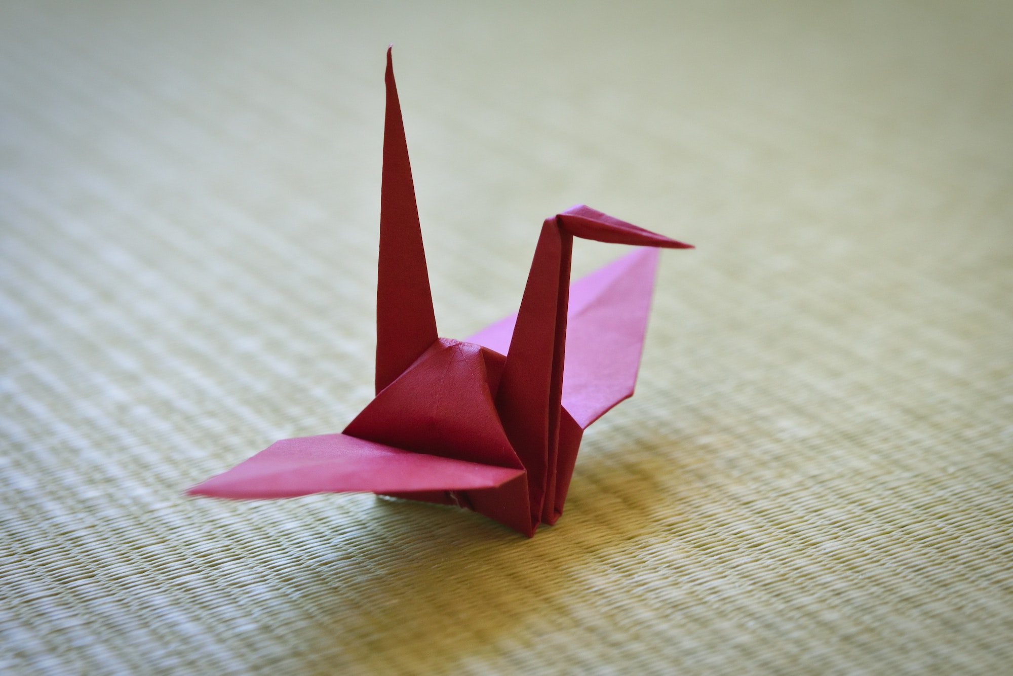 Paper crane on the tatami mat